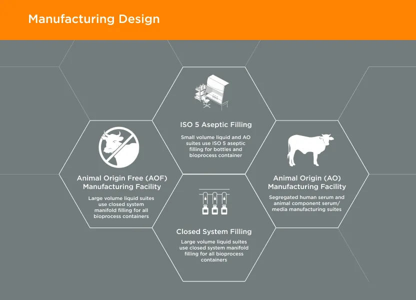 Manufacturing Design